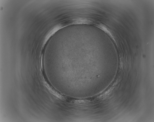 X0000067481227200604071130