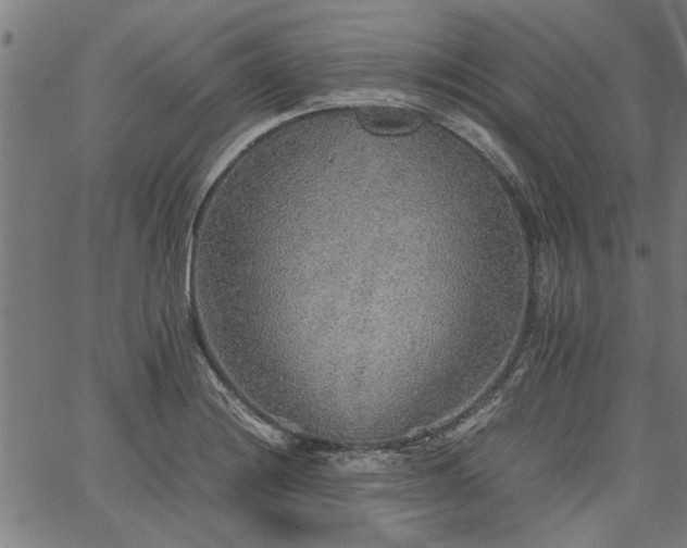 X0000067481228200604071130