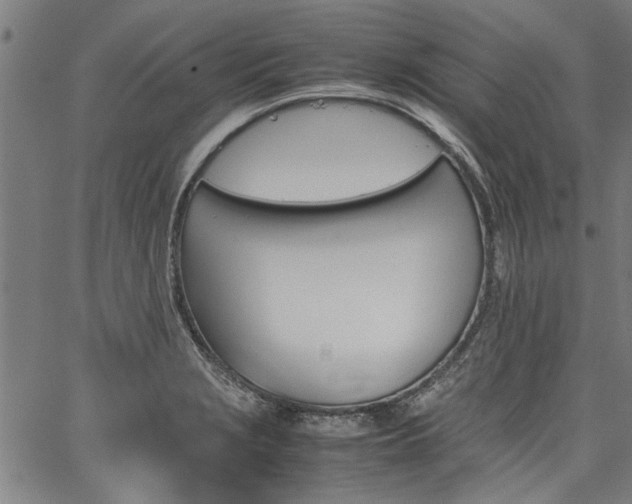 X0000067481229200604071130