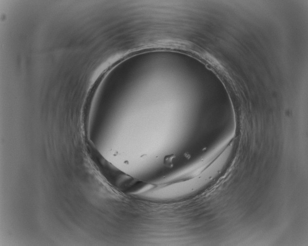 X0000067481230200604071130