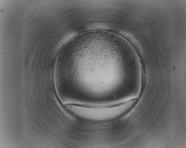 X0000067481233200604071130