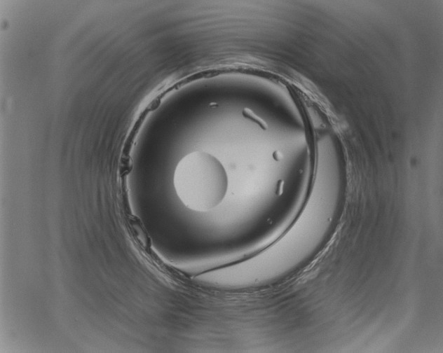 X0000067481234200604071130