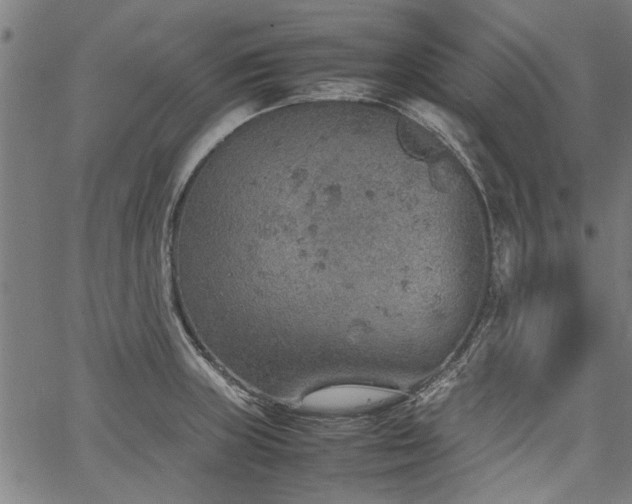 X0000067481235200604071130