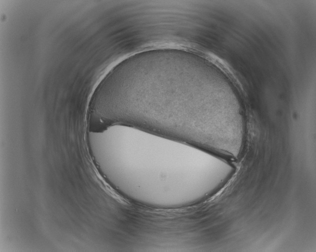 X0000067481236200604071130