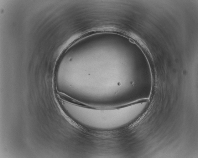 X0000067481237200604071131