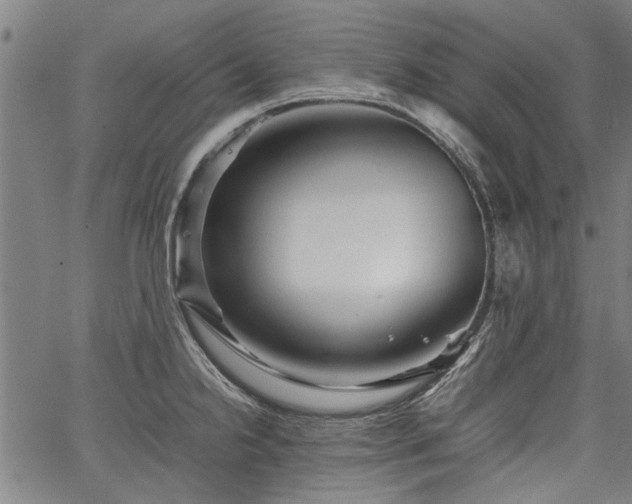 X0000067481238200604071131