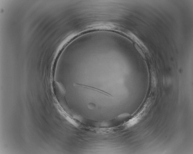 X0000067481240200604071131