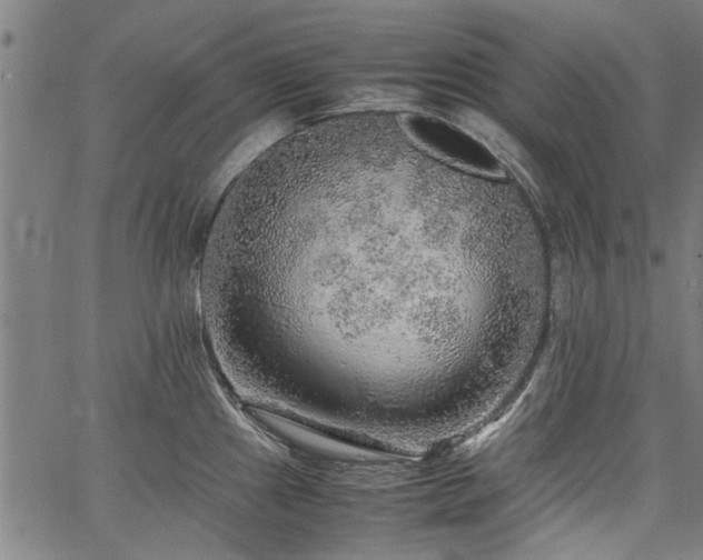 X0000067481241200604071131