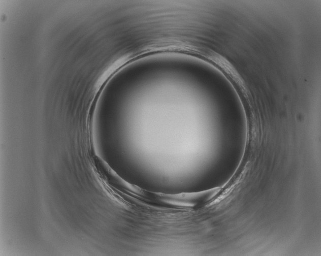 X0000067481242200604071131