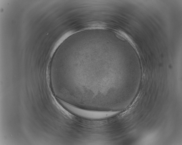 X0000067481243200604071131