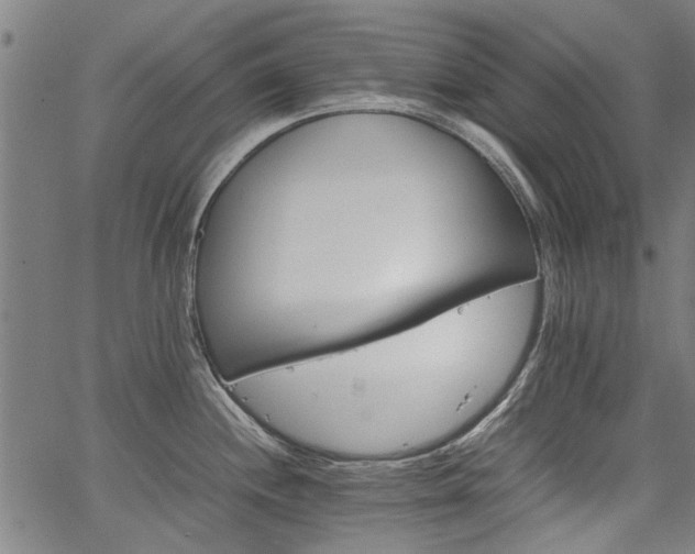 X0000067481244200604071131