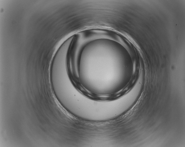 X0000067481246200604071131