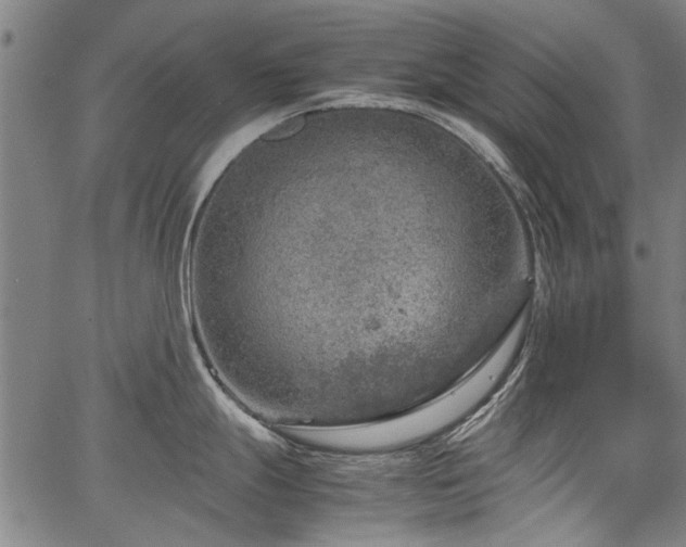 X0000067481247200604071131