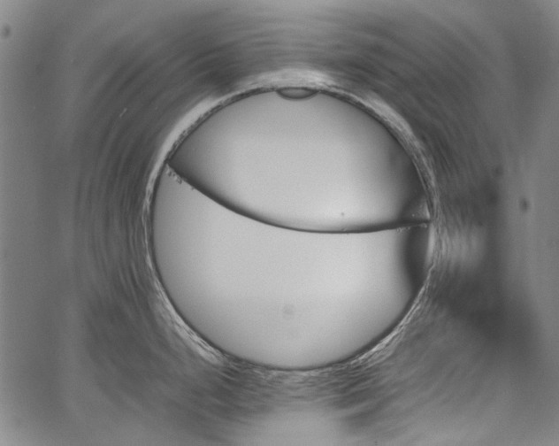 X0000067481248200604071131