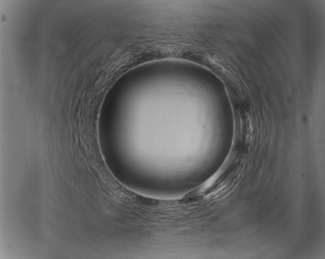 X0000067481249200604071130