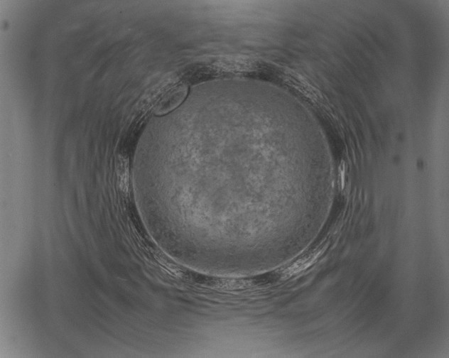 X0000067481251200604071130