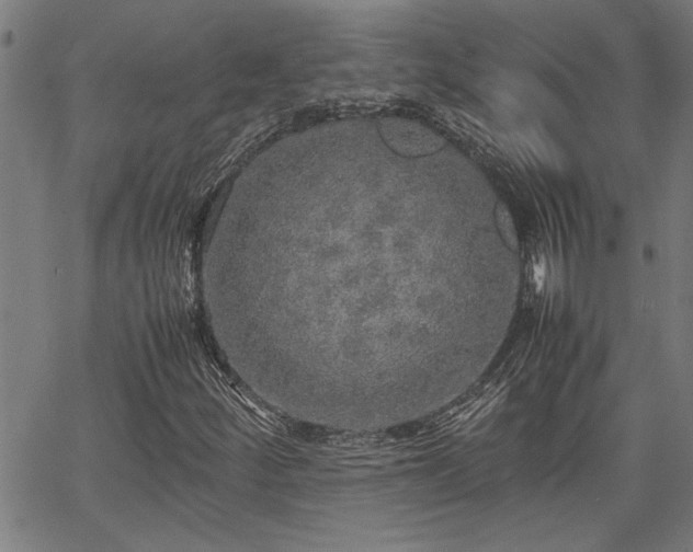 X0000067481252200604071130