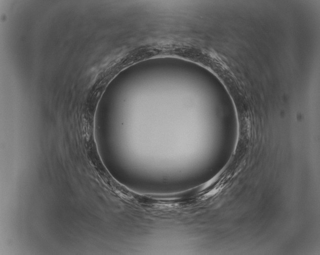 X0000067481253200604071130