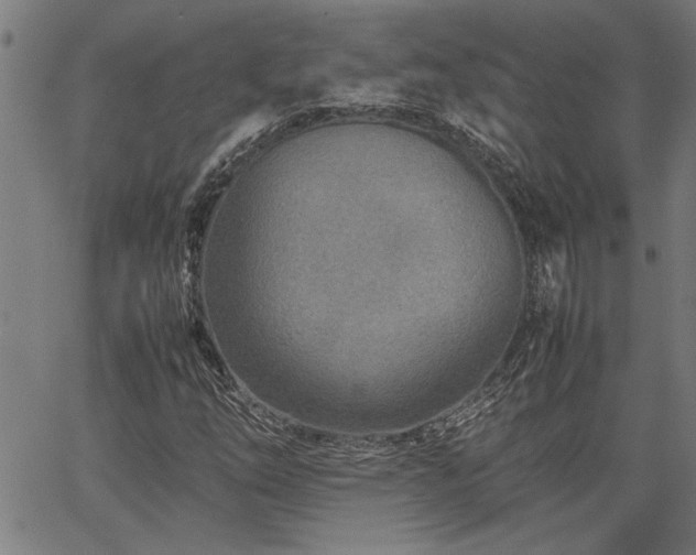 X0000067481254200604071130