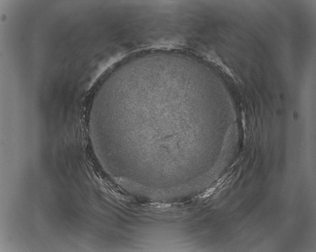 X0000067481256200604071130