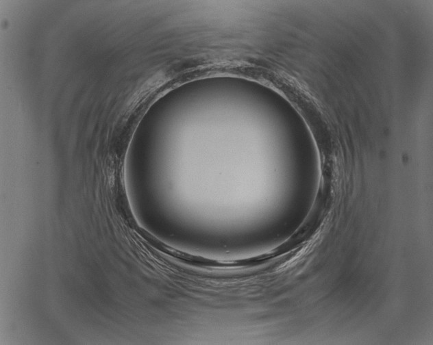 X0000067481257200604071130