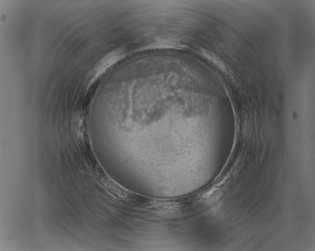 X0000067481258200604071130