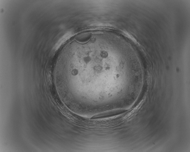 X0000067481259200604071130