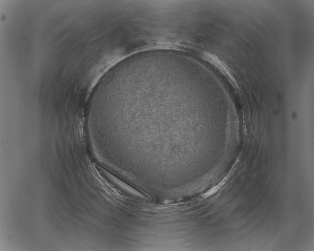 X0000067481260200604071130