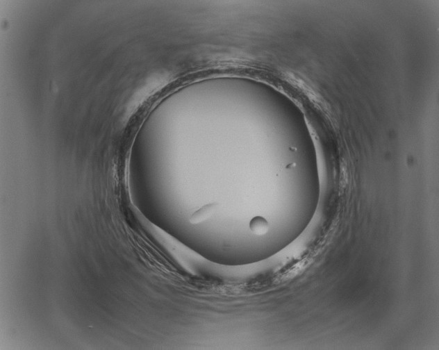 X0000067481261200604071130