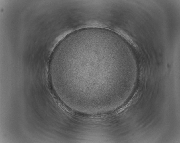 X0000067481264200604071130