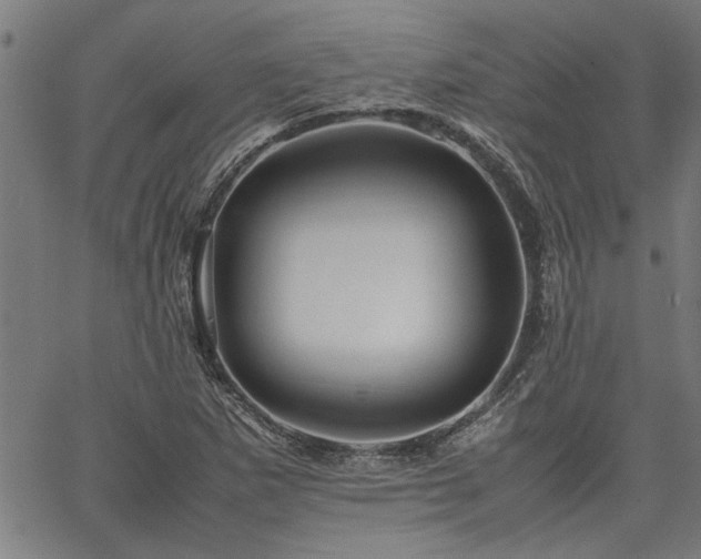 X0000067481265200604071130