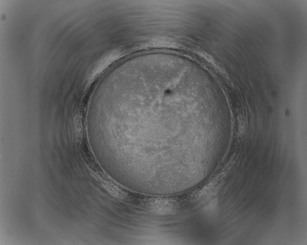 X0000067481266200604071130