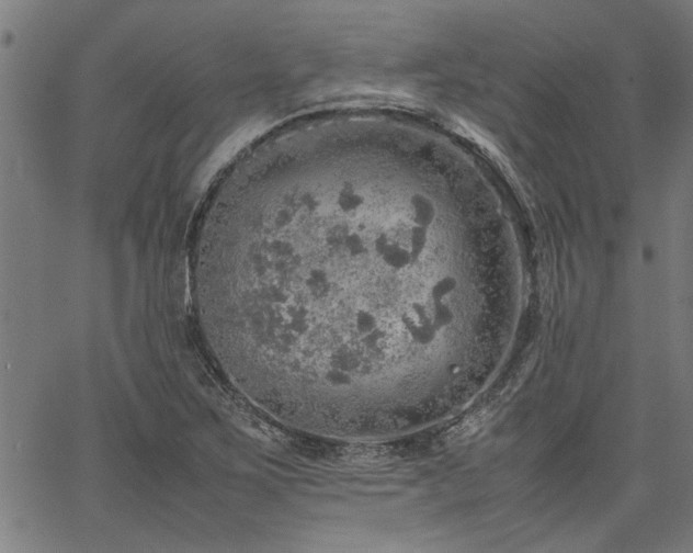 X0000067481267200604071130