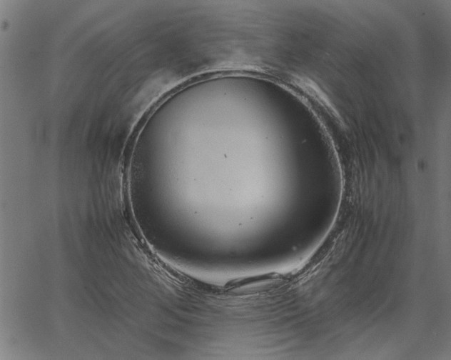 X0000067481268200604071130