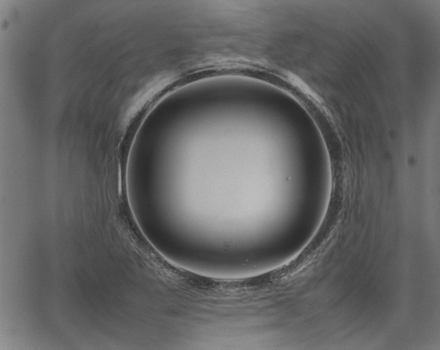 X0000067481269200604071130