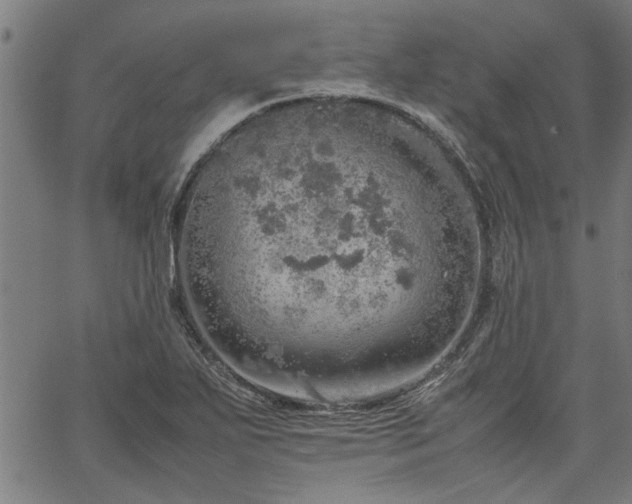 X0000067481271200604071130