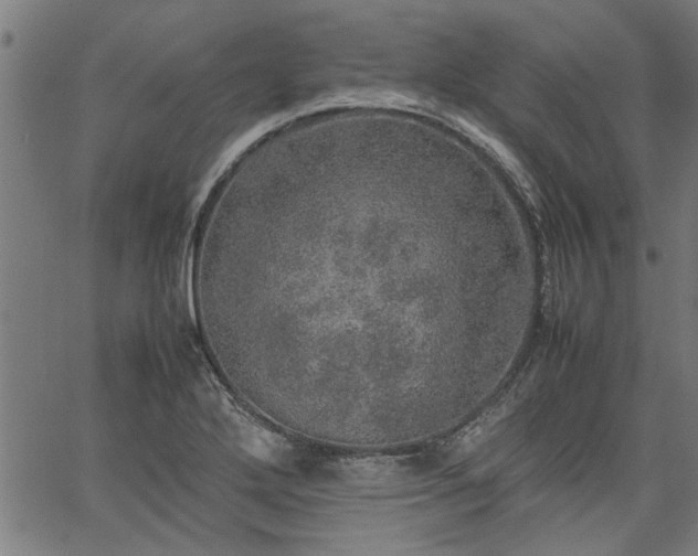 X0000067481272200604071130