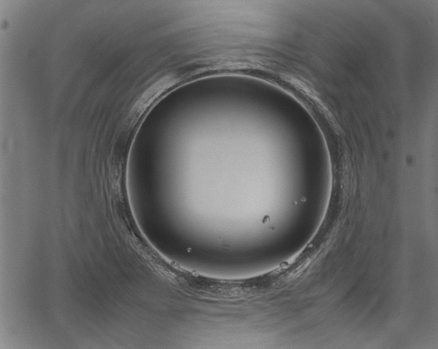 X0000067481273200604071130