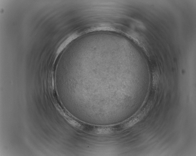 X0000067481274200604071130