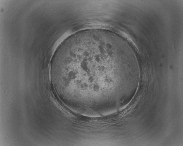 X0000067481275200604071129