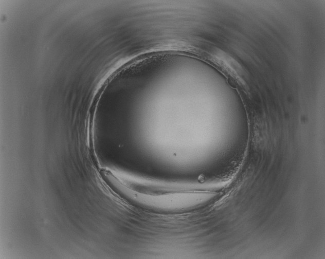 X0000067481276200604071129