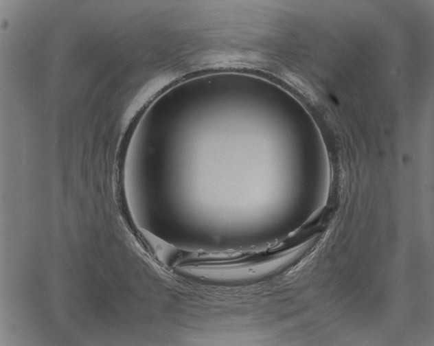 X0000067481277200604071129