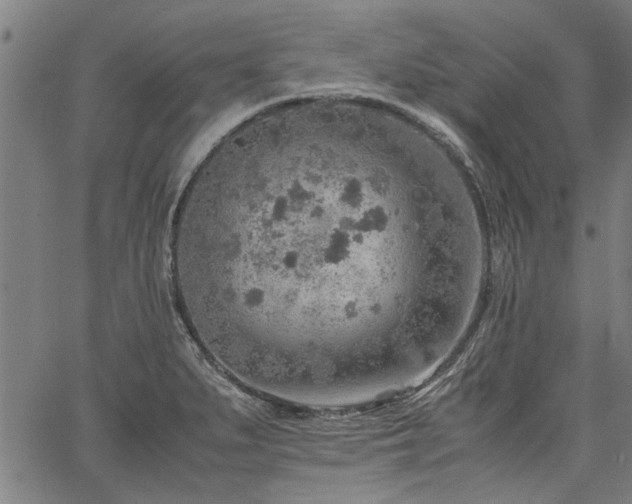 X0000067481279200604071129