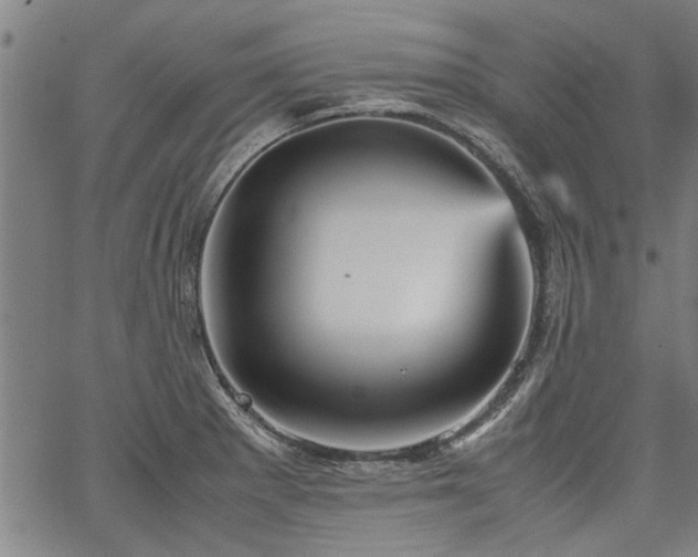 X0000067481281200604071129