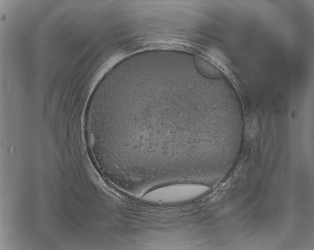 X0000067481283200604071129