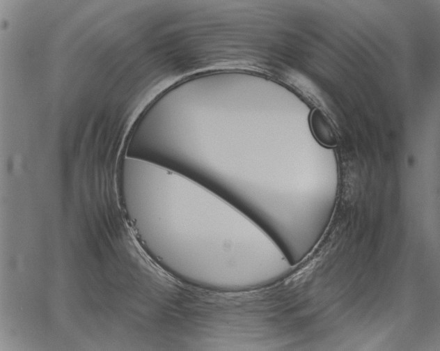 X0000067481284200604071129