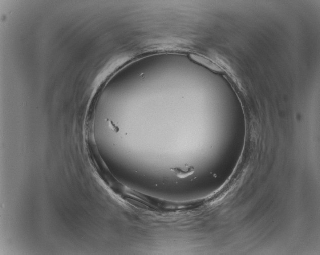 X0000067481285200604071129