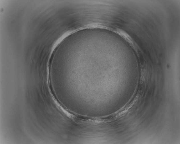 X0000067481286200604071129