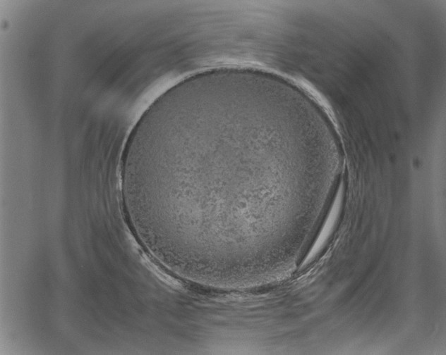 X0000067481287200604071129