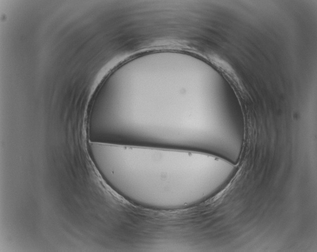 X0000067481288200604071129